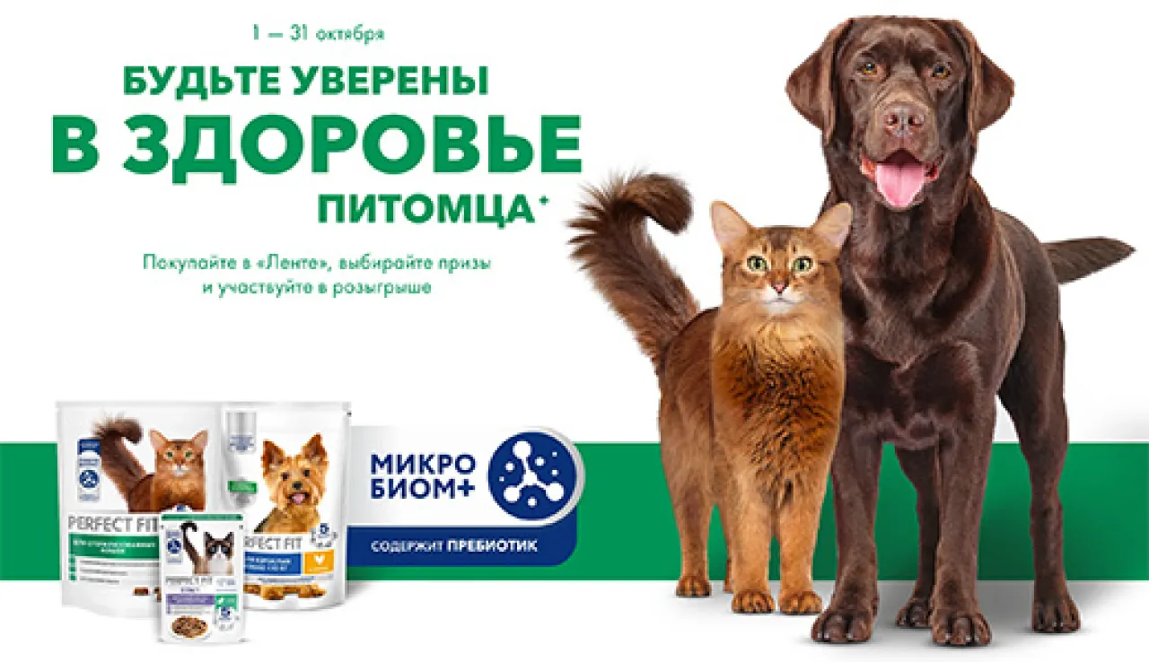 Дневник здоровья питомца в Ленте — промо-акция PERFECT FIT, регистрация до 31.10.2026