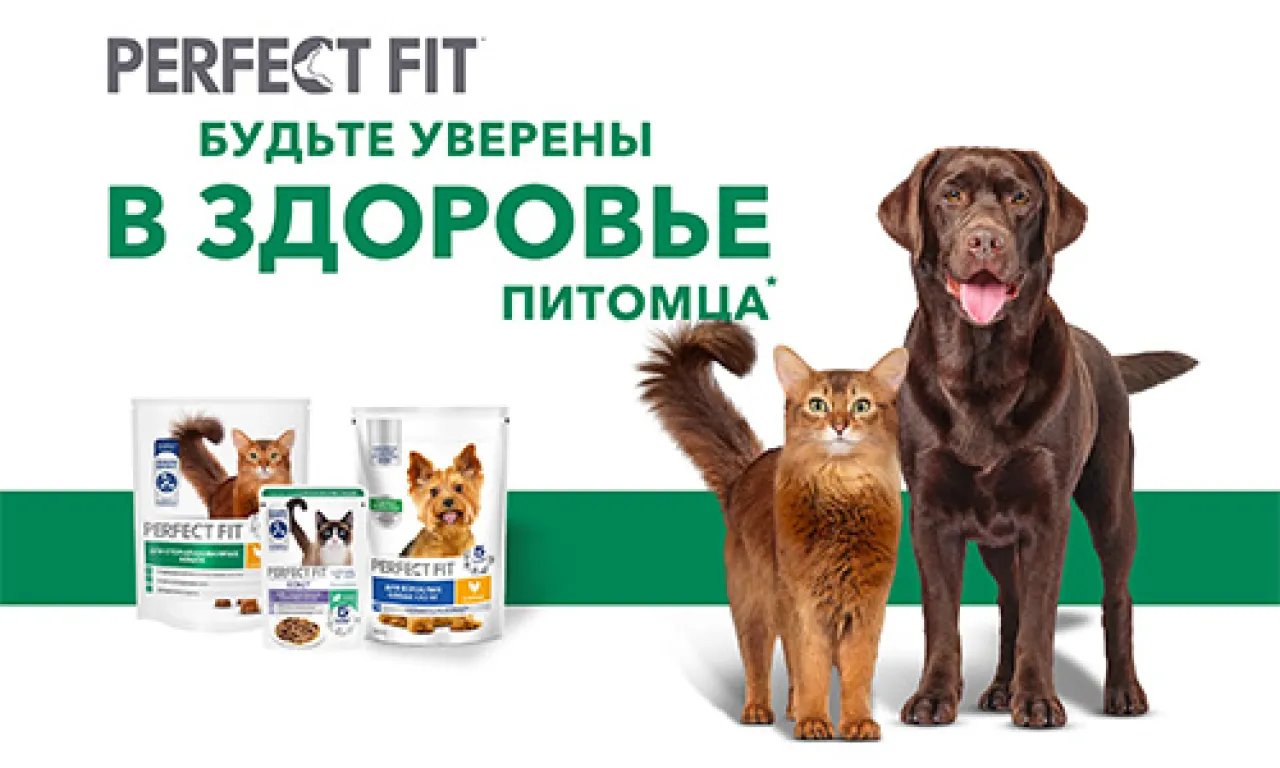 Будьте уверены в здоровье питомца - промо-акция PERFECT FIT, регистрация до 31.10.2026