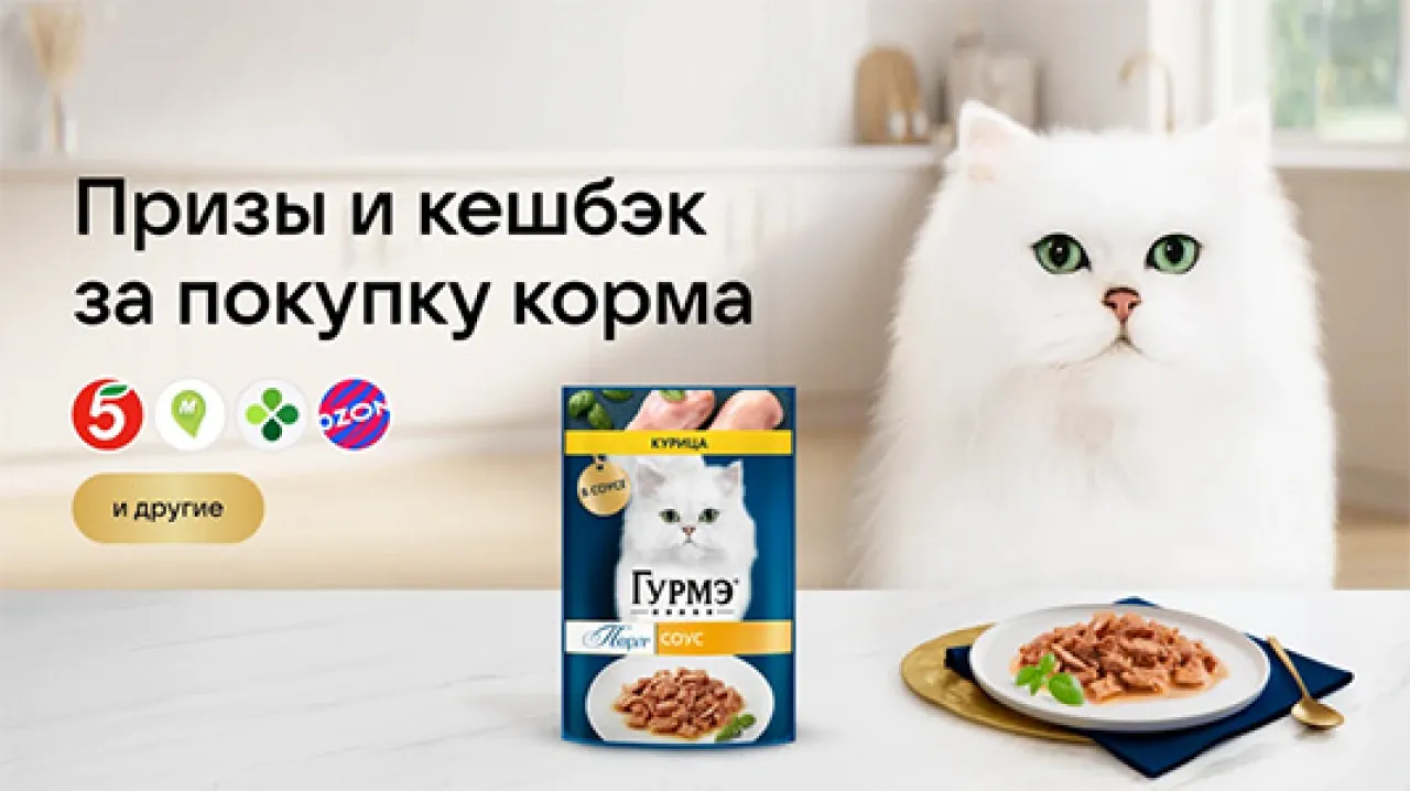 Акция в сервисе VK Чекбэк: Категория корма для животных - промо-акция Гурмэ, регистрация до 30.11.2026